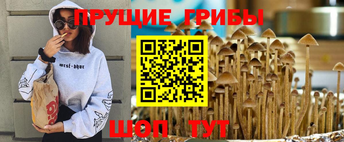 Псилоцибиновые грибы мухоморы Россия