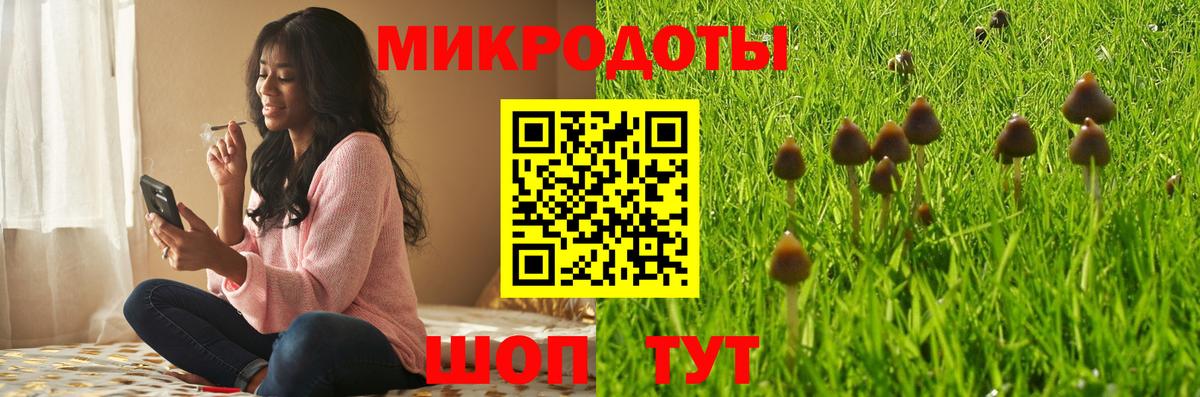 где можно купить наркотик  Вход с VPN  Россия  Псилоцибиновые грибы Psilocybe 